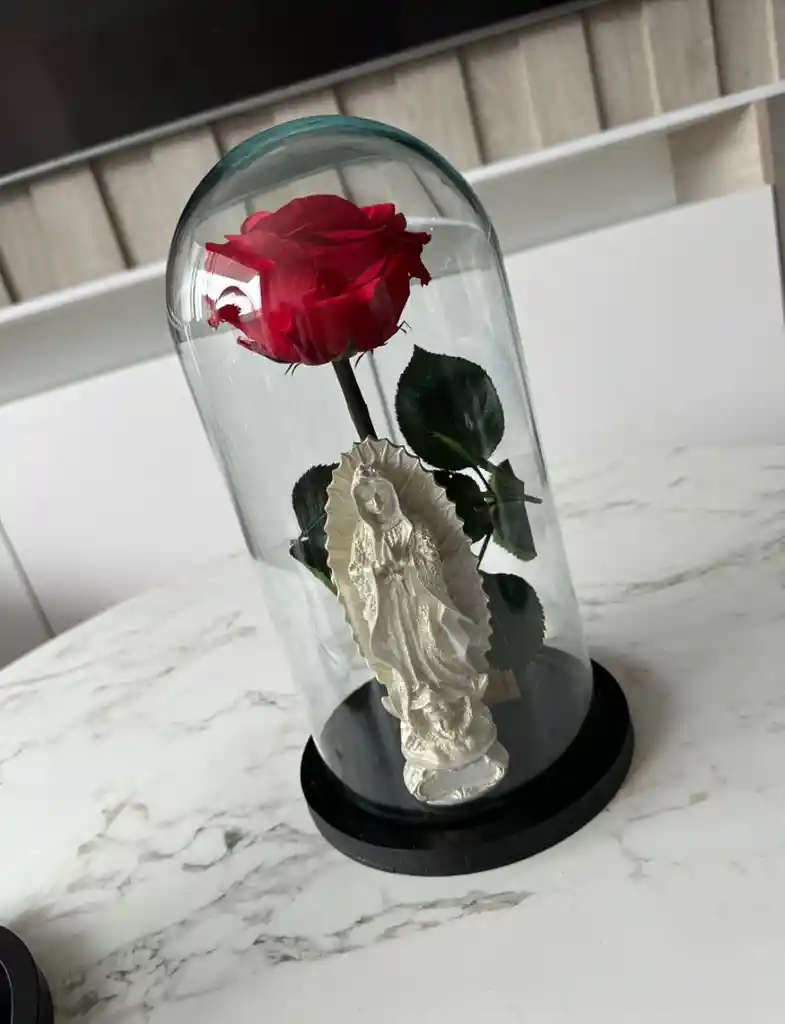 Rosa Preservada