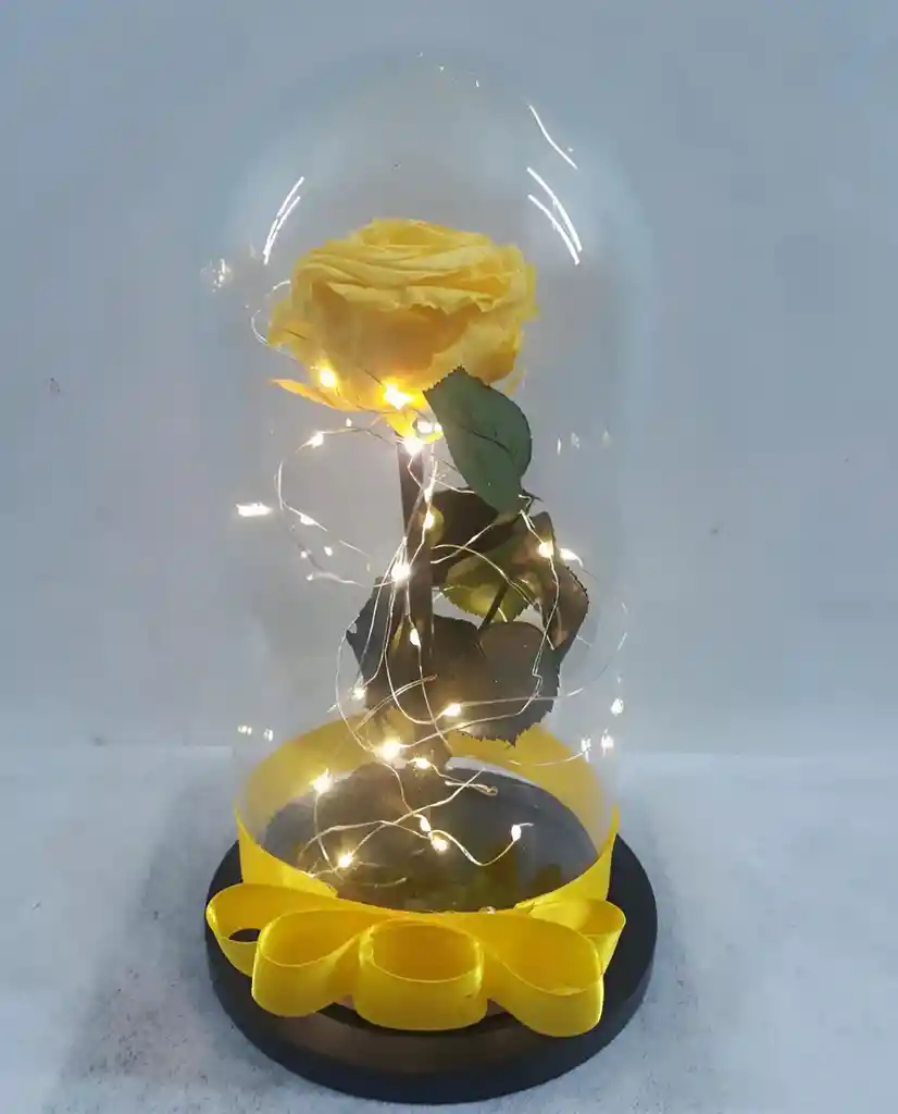 Rosa Preservada