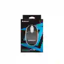 Mouse Pequeño Con Cable Jertech Led