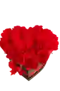 Flores Rosas X24 Caja Corazón