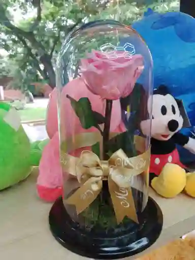 Rosa Preservada Inmortalizada En Cupula Rosada
