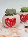 Bomba Love