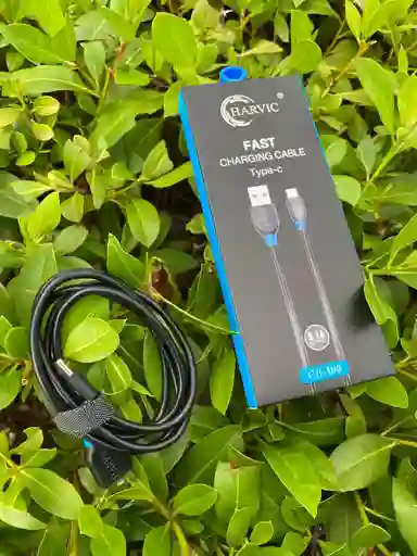 Cable De Carga Tipo C