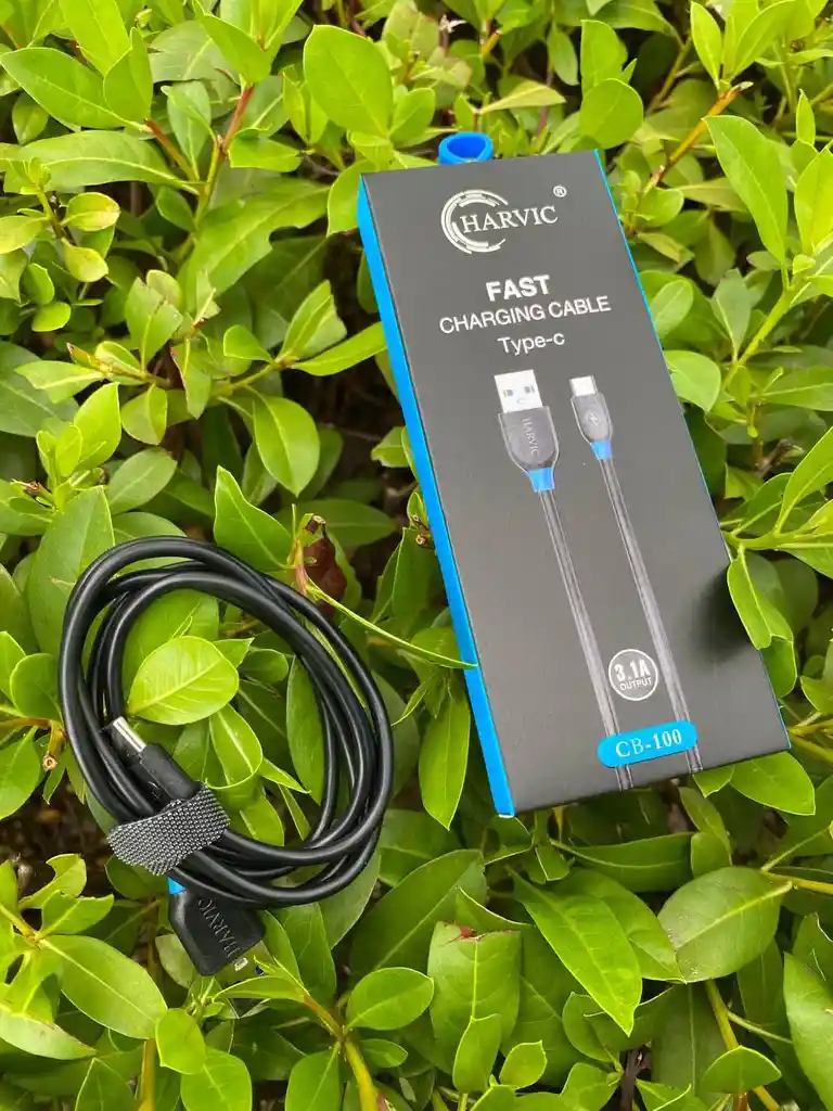 Cable De Carga Tipo C