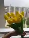 Tulipán Amarillo En Caja De Lujo Y Luz Led _ Flores Amarillas