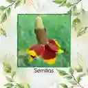 100 Semillas Orgánicas De Flor Ratibida Amarilla Y Roja