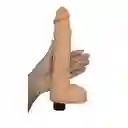 Vibrador Roberto