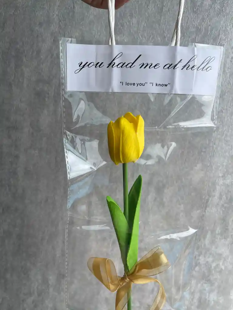 Tulipán En Bolsa Transparente – Detalle Sencillo Y Elegante