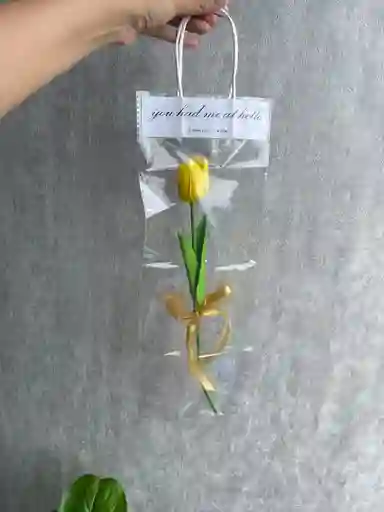 Tulipán En Bolsa Transparente – Detalle Sencillo Y Elegante
