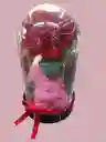 ✨ Rosa Eterna Con Osito En Domo De Lujo ✨