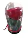✨ Rosa Eterna Con Osito En Domo De Lujo ✨