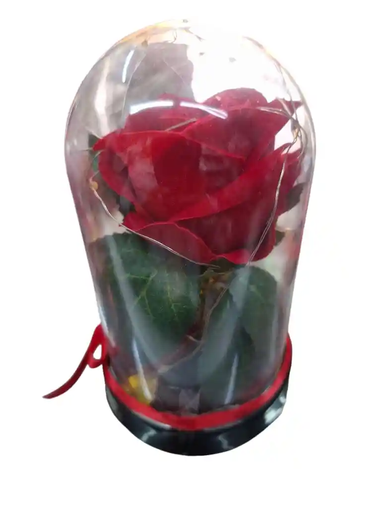 ✨ Rosa Eterna Con Osito En Domo De Lujo ✨