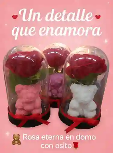 ✨ Rosa Eterna Con Osito En Domo De Lujo ✨