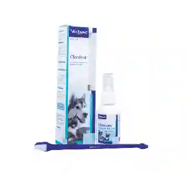 Clordent X 120 Ml