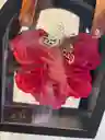 Bolso Rosas Preservadas
