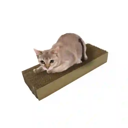 Rascador Para Gatos Delgado 2,4 Cm