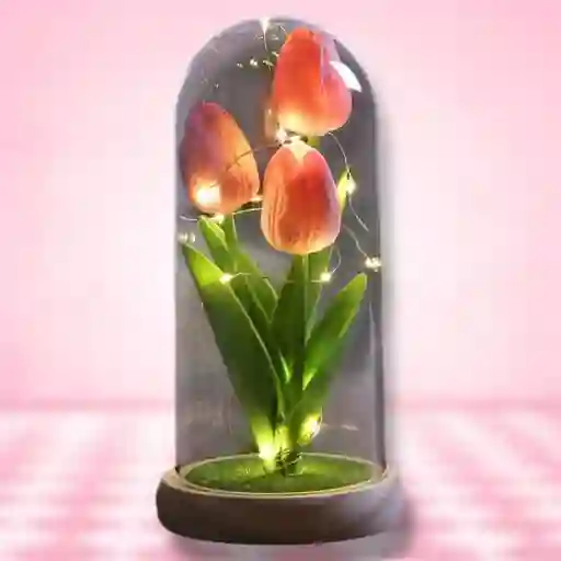 Tulipanes Preservados
