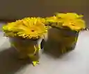 Caja Con Flores Amarillas