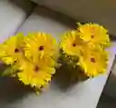 Caja Con Flores Amarillas