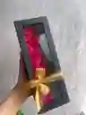 Rosas Con Chocolates