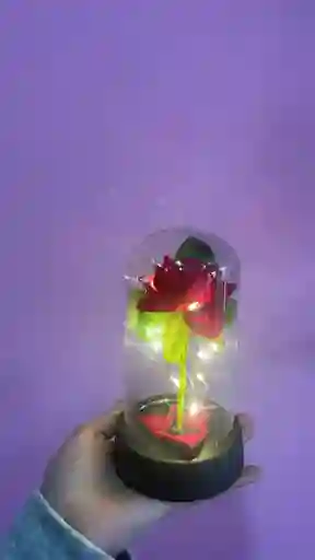 Rosa Artificial