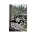 Cama Hamaca Para Gato 40 Cm X 40 Cm Vidrio Vinotinto