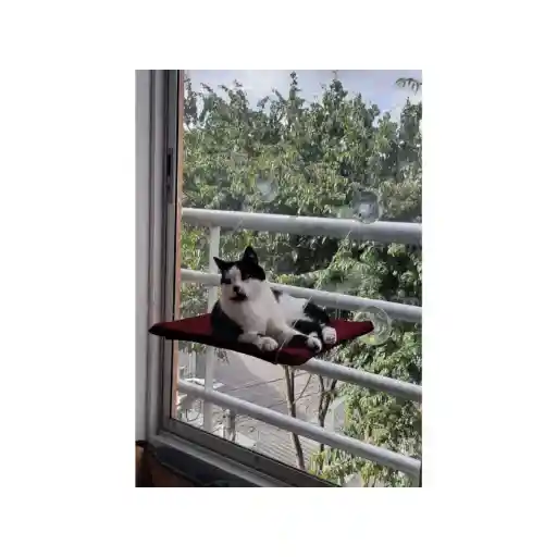 Cama Hamaca Para Gato 40 Cm X 40 Cm Vidrio Vinotinto