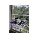 Cama Hamaca Para Gato 40 Cm X 40 Cm Vidrio Azul Claro