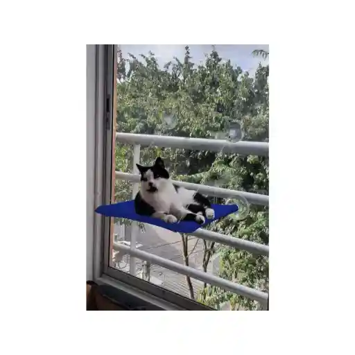 Cama Hamaca Para Gato 40 Cm X 40 Cm Vidrio Azul Claro