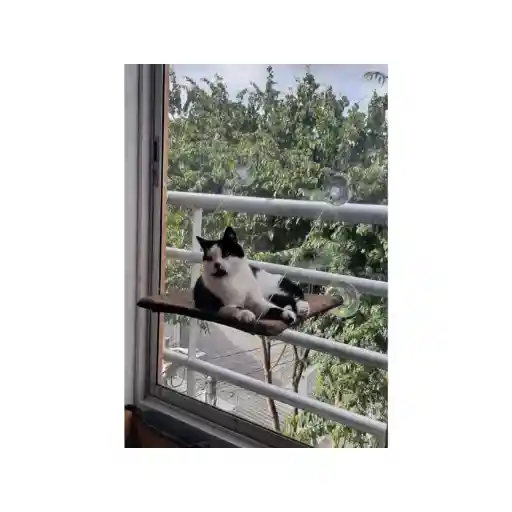 Cama Hamaca Para Gato 40 Cm X 40 Cm Vidrio Marron