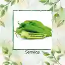 60 Semillas Orgánicas De Ají Anaheim