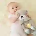 Nutria Peluche Que Respira Luz Musical