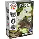 Kit Excavación T-rex Brilla En La Oscuridad