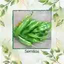 300 Semillas Orgánicas De Ají Anaheim