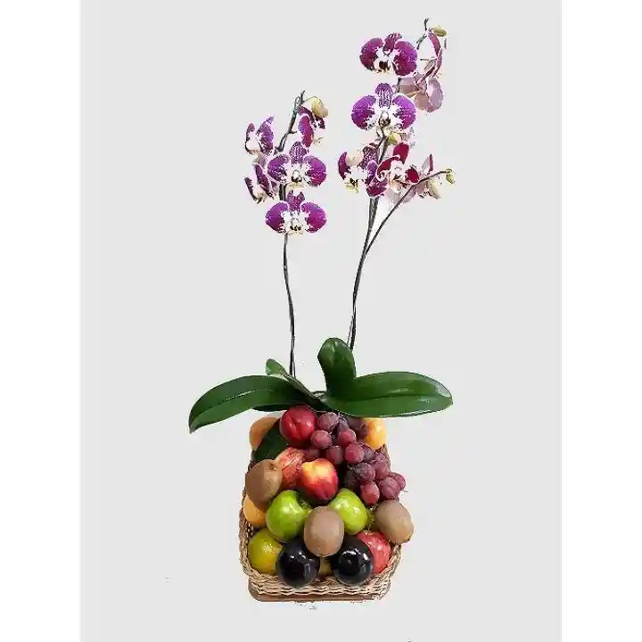 Frutero Con Orquidea