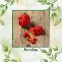 40 Semillas Orgánicas De Ají Carolina Reaper