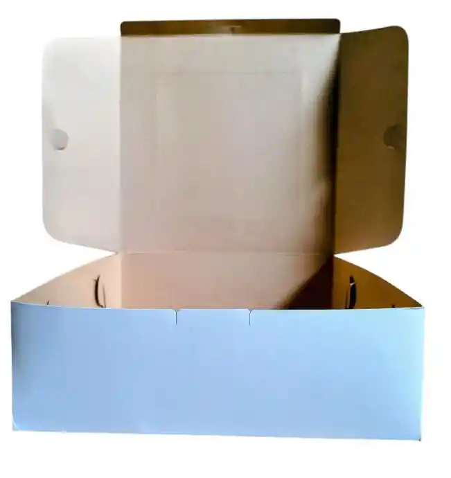 Cajas Cartón 22x22 Cms Para Alimentos X 10 Unds