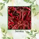 10 Semillas Orgánicas De Ají De Árbol