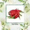 20 Semillas Orgánicas De Ají De Árbol