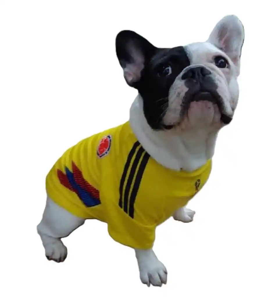Camiseta Seleccion Colombia Para Perro Talla S ( Yorkshire Terrier Raza Guia )