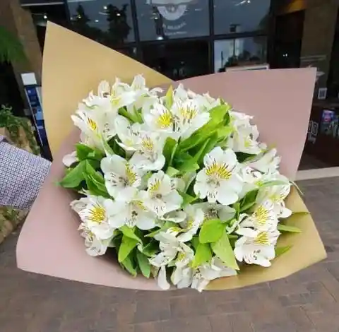 Flores Boutique De Astromelias Blancas