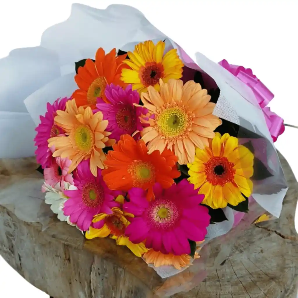 Flores Gerberas Surtidas