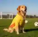 Camiseta Seleccion Colombia Para Perro Talla L ( Beagle Y Cocker Spaniel Raza Guia )