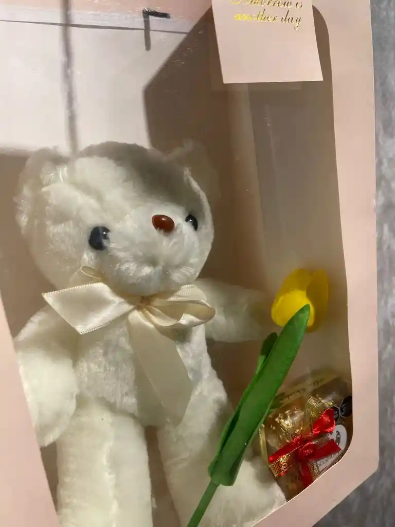 Peluche Blanco Con Tulipán Amarillo Y Chocolates En Bolsa - Flores Amarillas