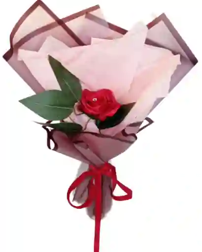 Rosa Roja Solitaria Amor Eterno