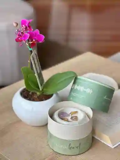 Orquídea Miniatura + Vela Amatista