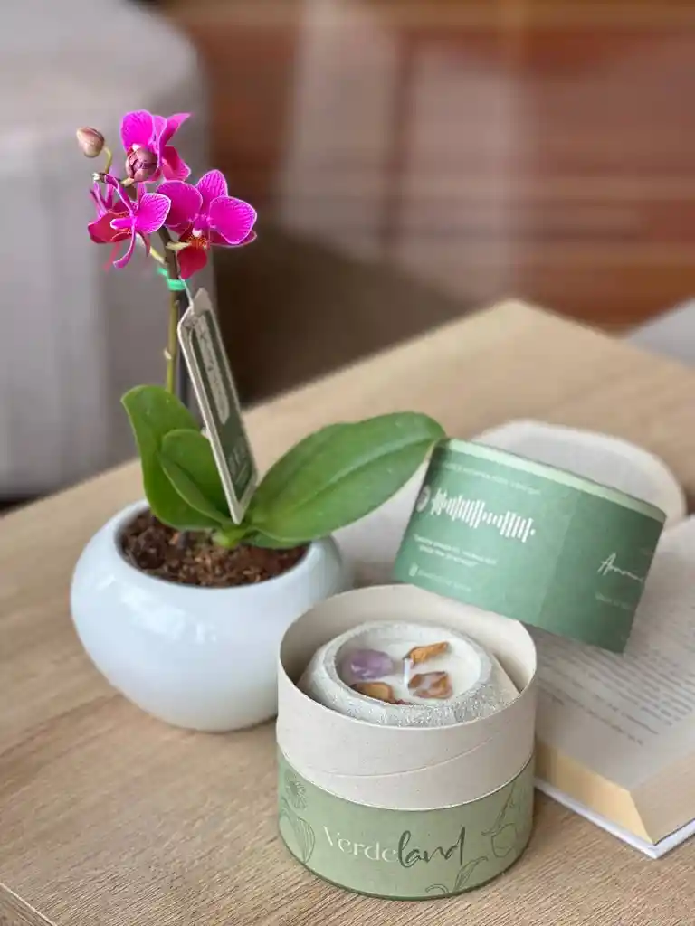 Orquídea Miniatura + Vela Amatista