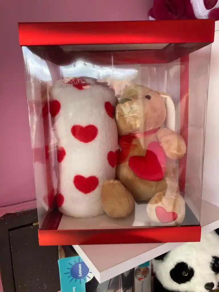 Peluche Oso Con Cobija
