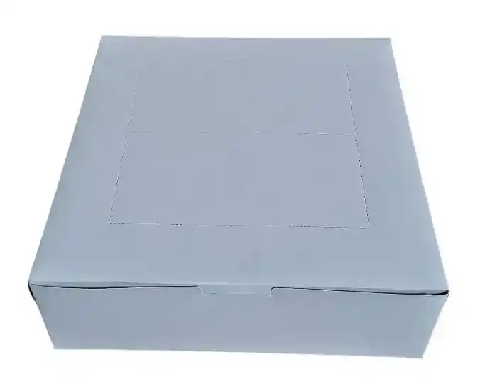 Cajas Cartón 27x27 Cms Para Alimentos X 10 Unds