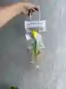 Tulipán Eterno Amarillo — Un Detalle Sencillo Que Enamora